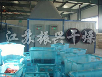 枸杞專（zhuān）用非標隧道烘箱