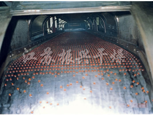 RL係列熔融（róng）造粒機