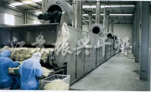 DWC係列脫水（shuǐ）蔬菜帶式幹燥機