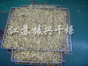 幹（gàn）燥後的菊花