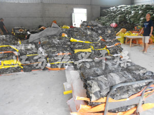 帶式幹燥機（jī）